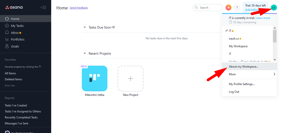 Asana rename-workspace01.png